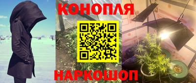 тгк Севастополь