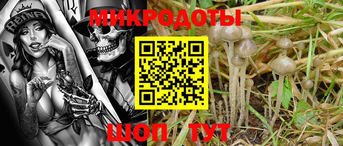 Галлюциногенные грибы мицелий Нововоронеж